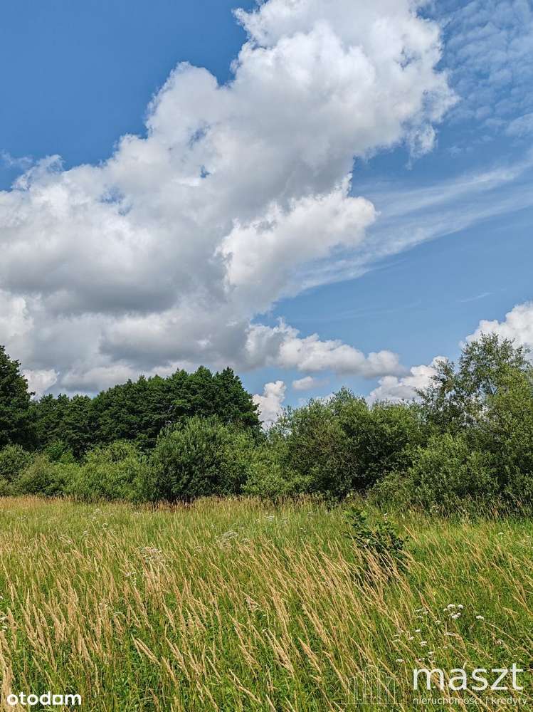 nowa cena - O K A Z J A - działka rolna - 1,9 ha-3