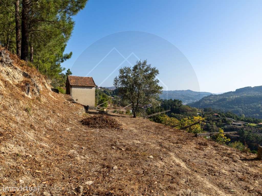 Propriedade com Vista Panorâmica para o Douro Moradia e Terreno com...-38