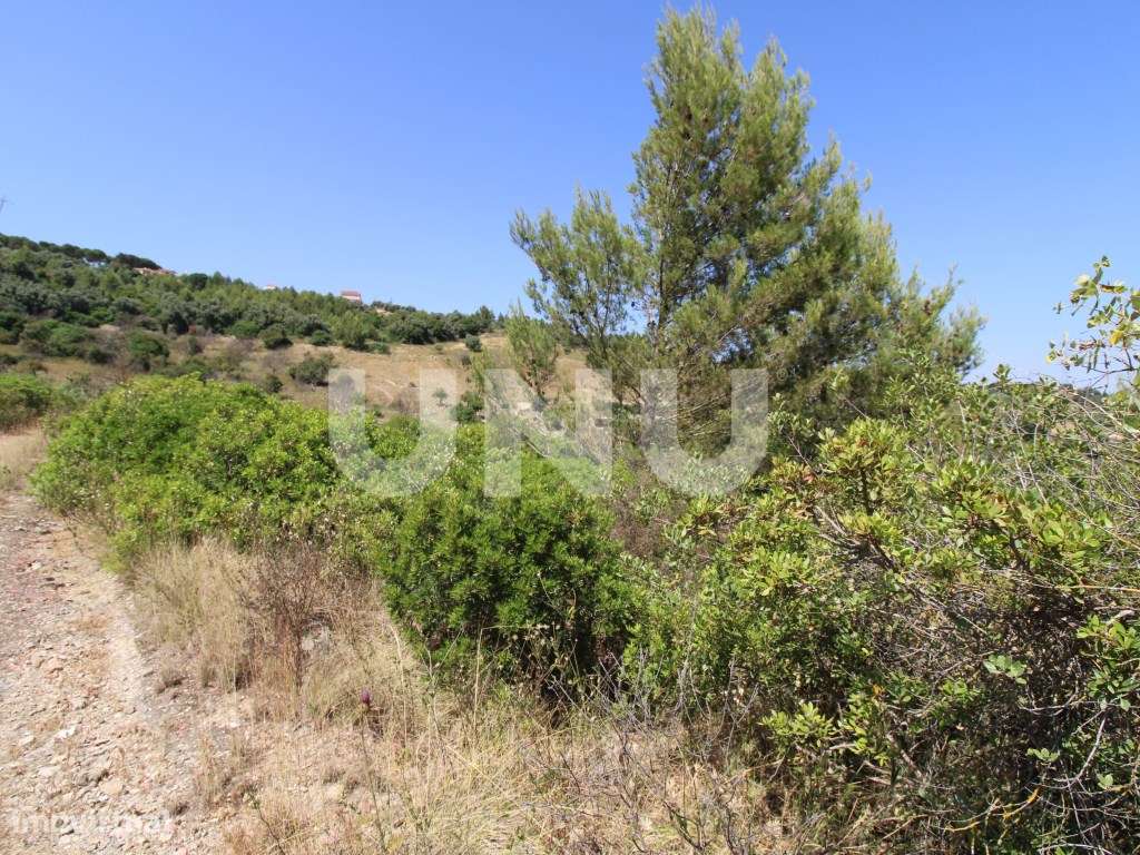 Terreno Rústico em Vila Franca de Xira!-6