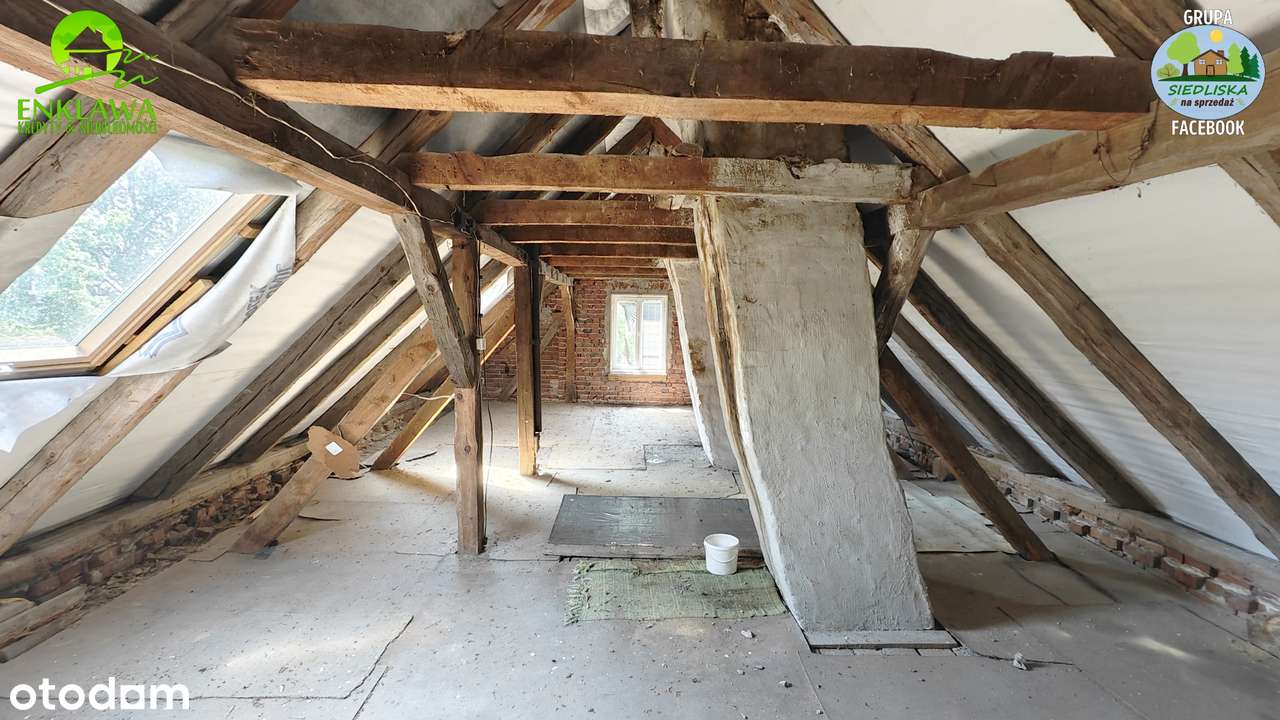 ENKLAWA prezentuje: LEŚNICZÓWKA niedaleko Krosna Odrzańskiego! CUDO!-16