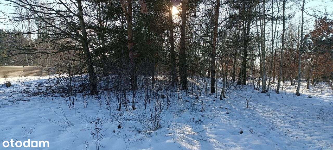 Działka 1,98ha rolne zabudowane Kamienica Polska Zawisna-7