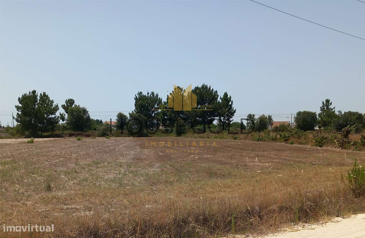 Moradia T3 Venda em Glória do Ribatejo e Granho,Salvaterra de Magos - Grande imagem: 4/8