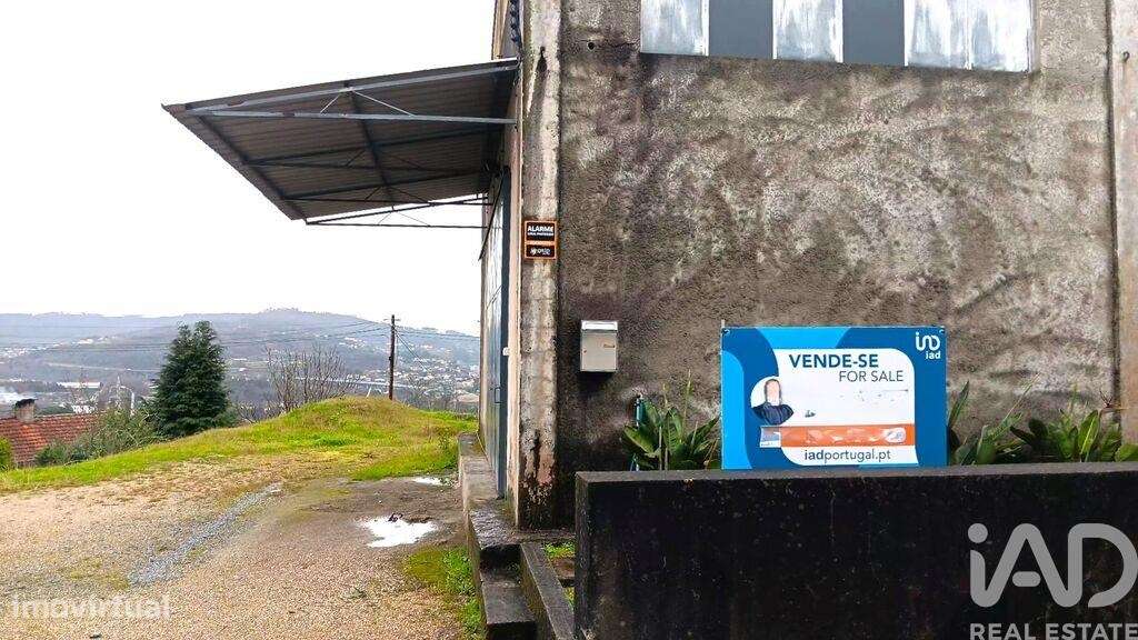 Hangar em Pedome de 300,00 m2 - Grande imagem: 3/23