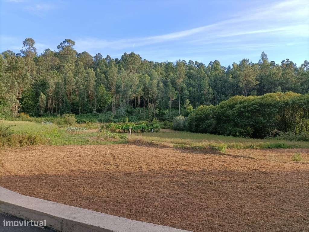 Terreno agrícola em Fornelos - Grande imagem: 4/8