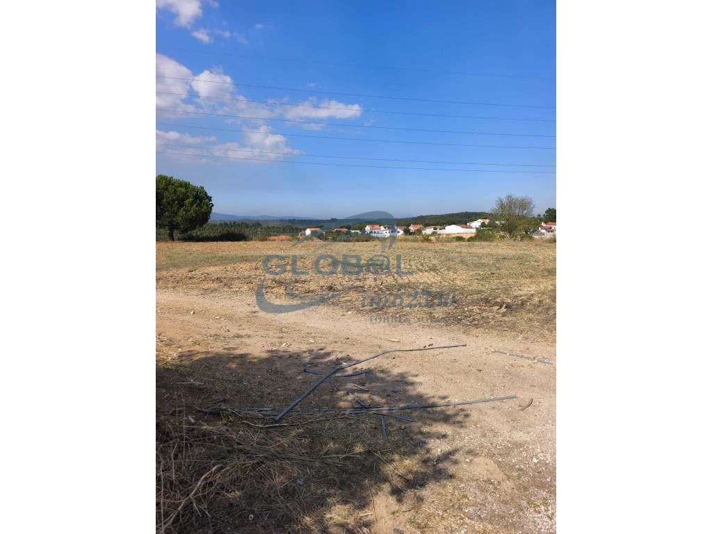 Terreno Venda Torres Novas - Grande imagem: 5/12