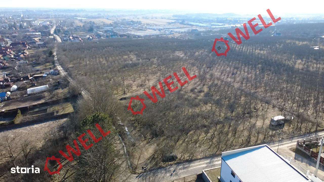 De vânzare 6 terenuri intravilane pentru construcții în Sf Gheorghe - Imagine principală: 4/5