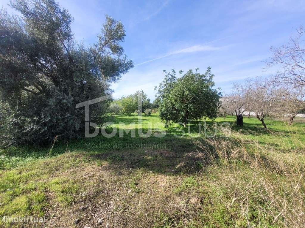 Terreno com 4200m totalmente plano com ótimas acessibilidades-3