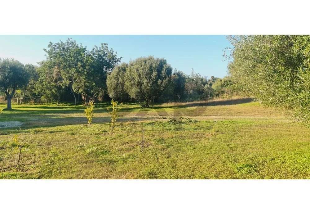 Terreno construtível com ruína e com um projeto aprovado - Grande imagem: 3/13