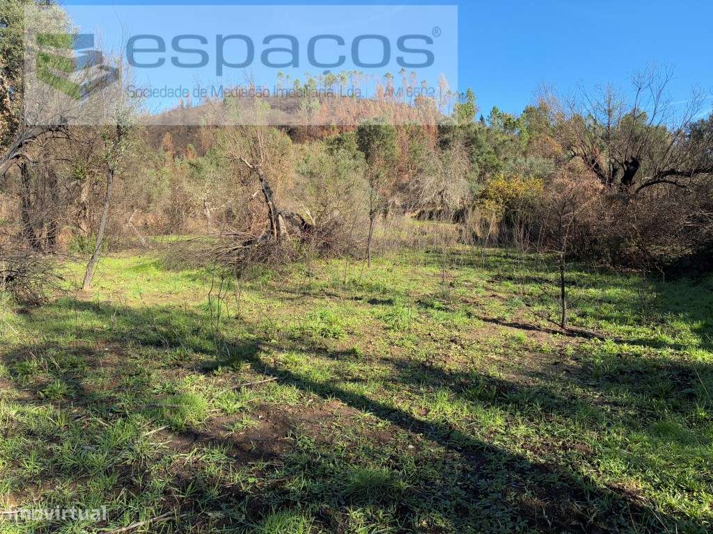 Quinta - Grande imagem: 3/24