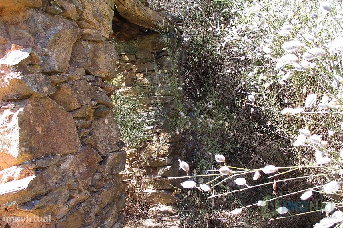 Imóvel Rural - Grande imagem: 4/19