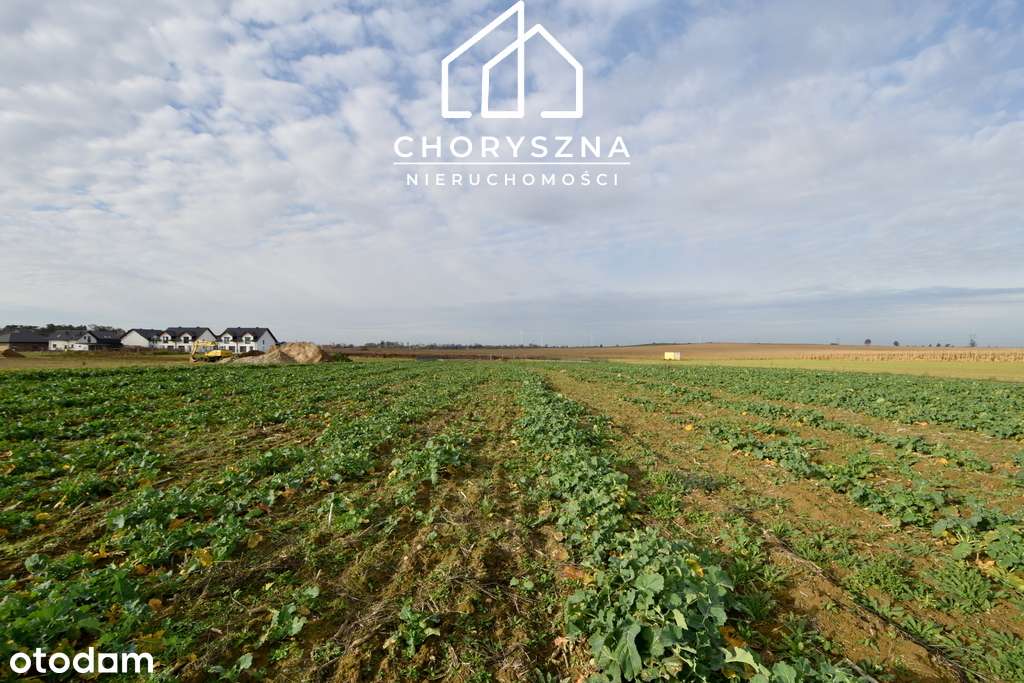 Namysłów - Stare Miasto - działka budowlana-4