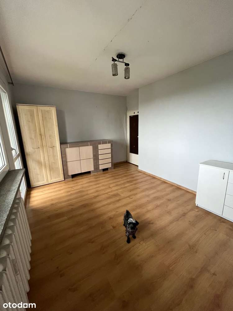 Trzypokojowe, przestronne i ciche, dostępne od zaraz-Bezpośrednio!-8