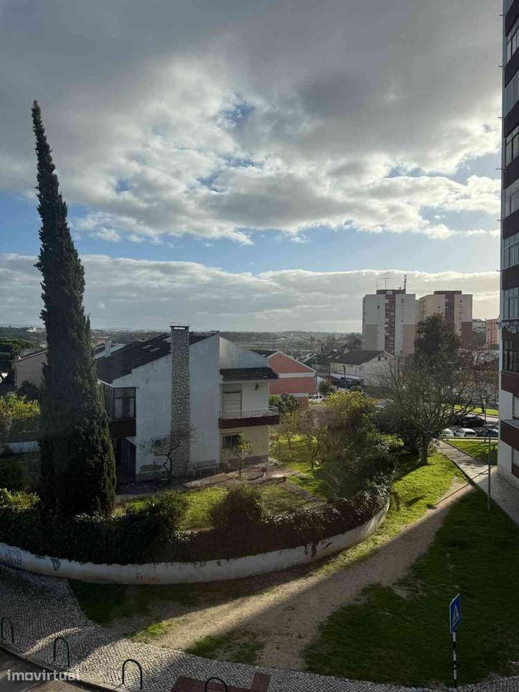 T3 transformado em T2 Miratejo - Grande imagem: 5/16