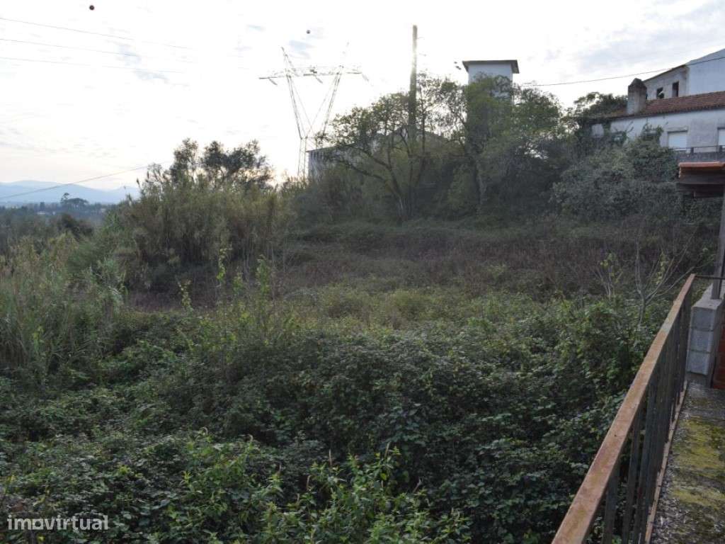 Quinta entre Antanhol e Cernache-11