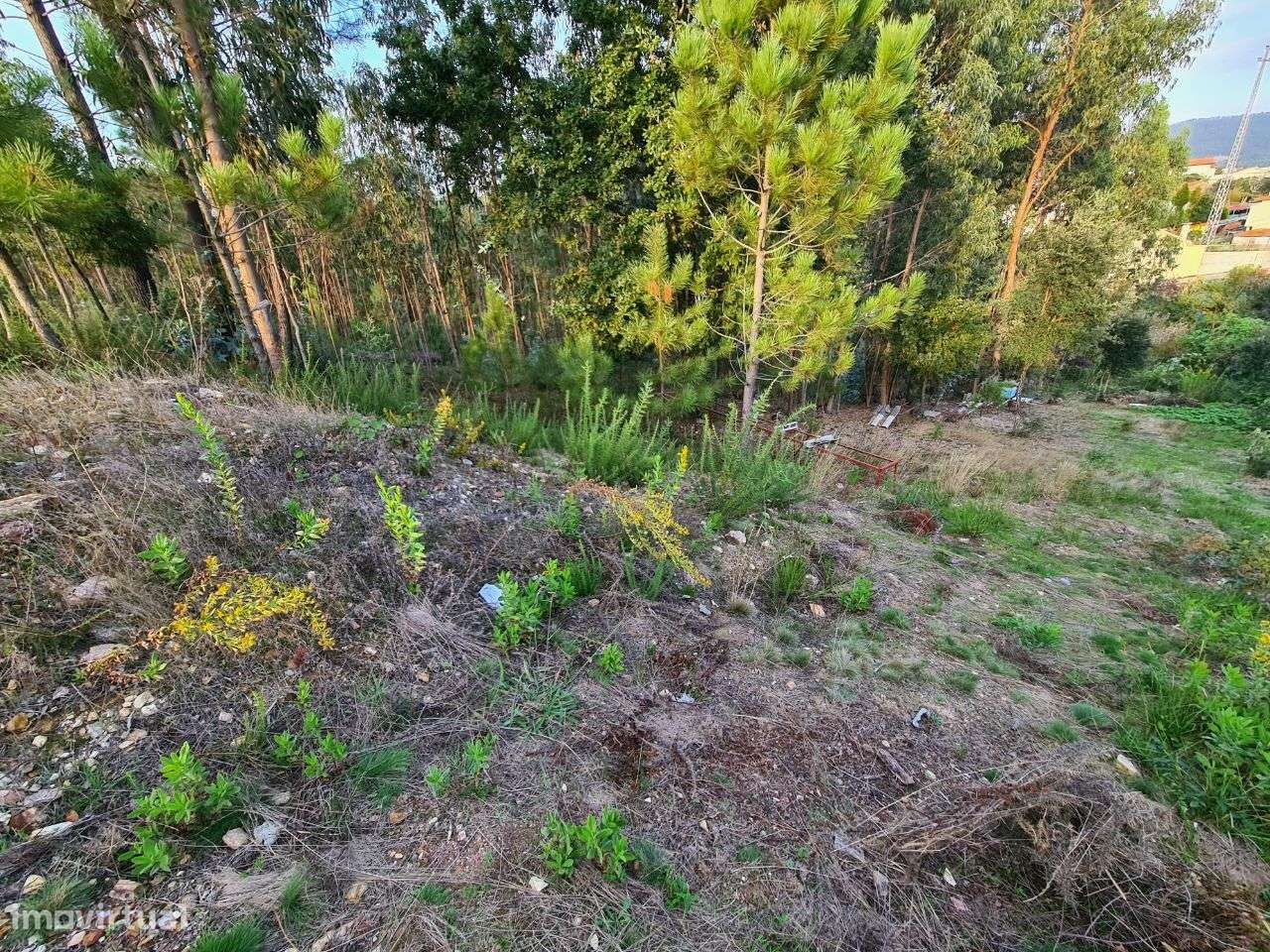 Terreno com Viabilidade de Construção de Moradias-11