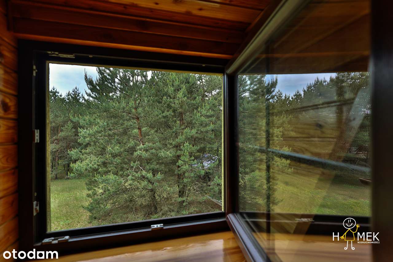 Z Dala od Hałasu, w Sercu Magicznego Lasu - Twój Azyl - Willa Leśna!-4