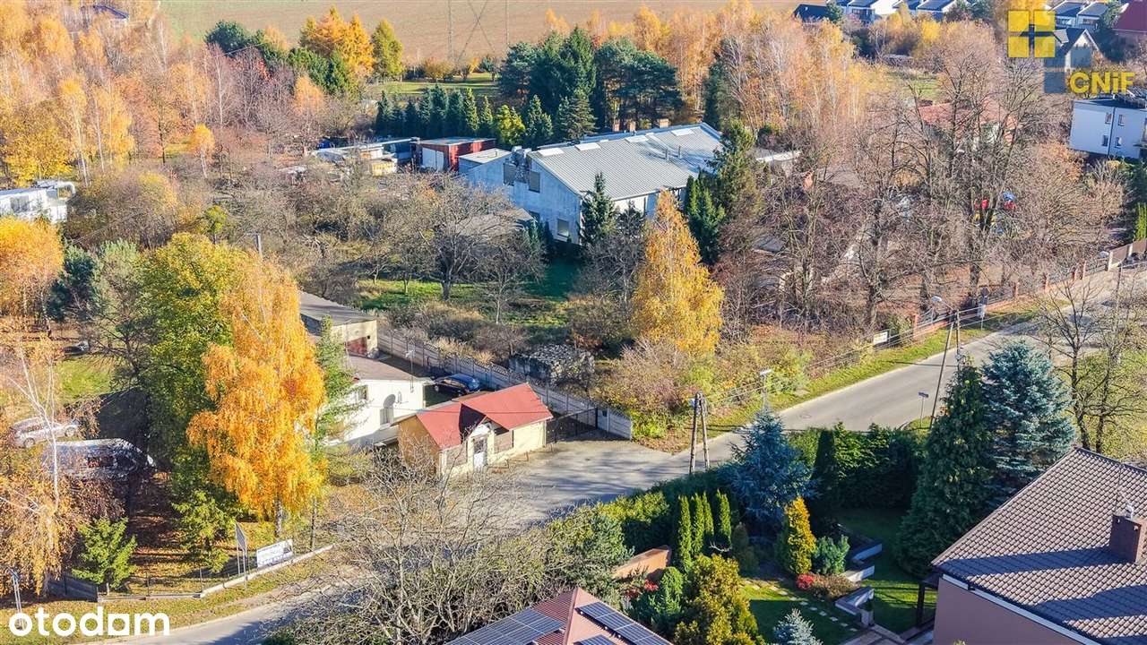 Do wynajęcia lokal handlowo-usługowy - Pełny obrazek: 4/7