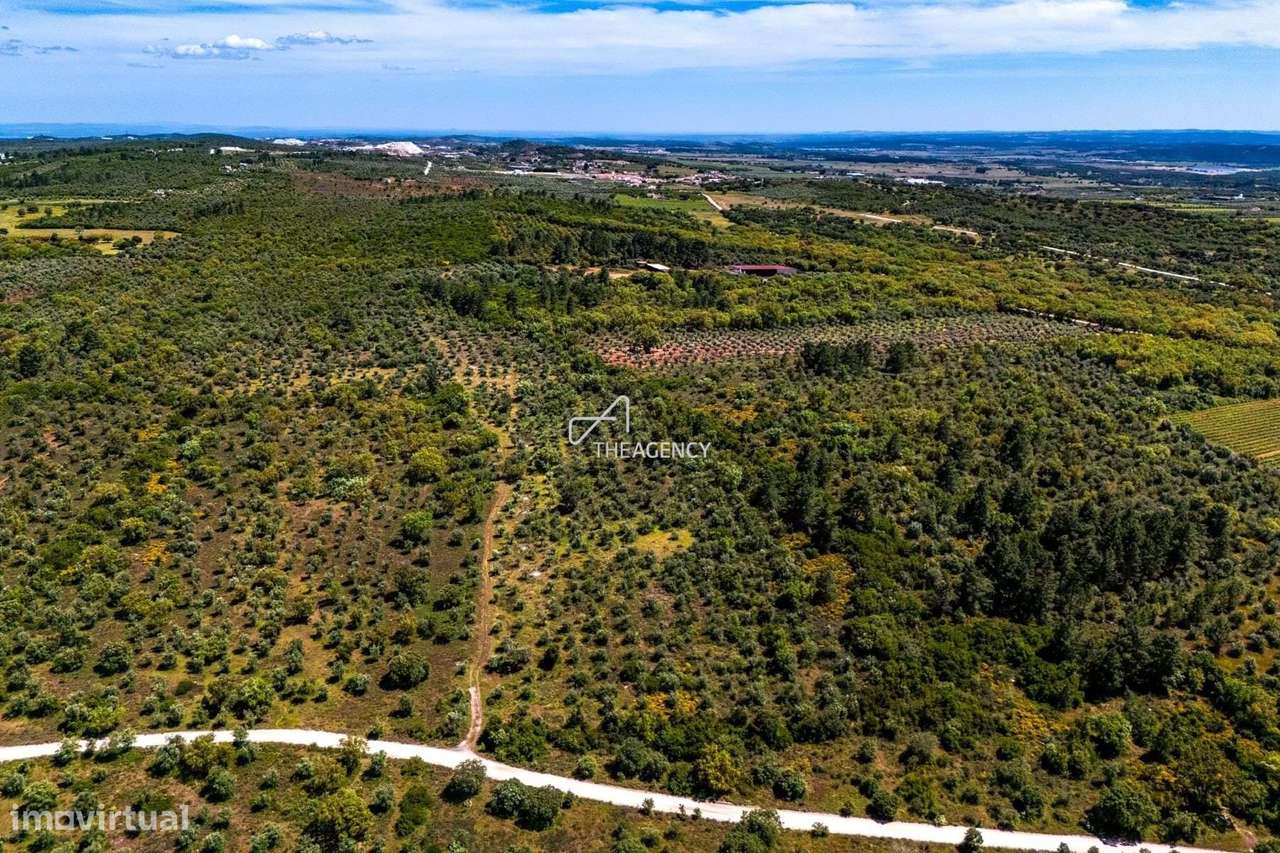 Terreno Multifuncional para Turismo e Agricultura no Coração do Alente - Grande imagem: 4/4