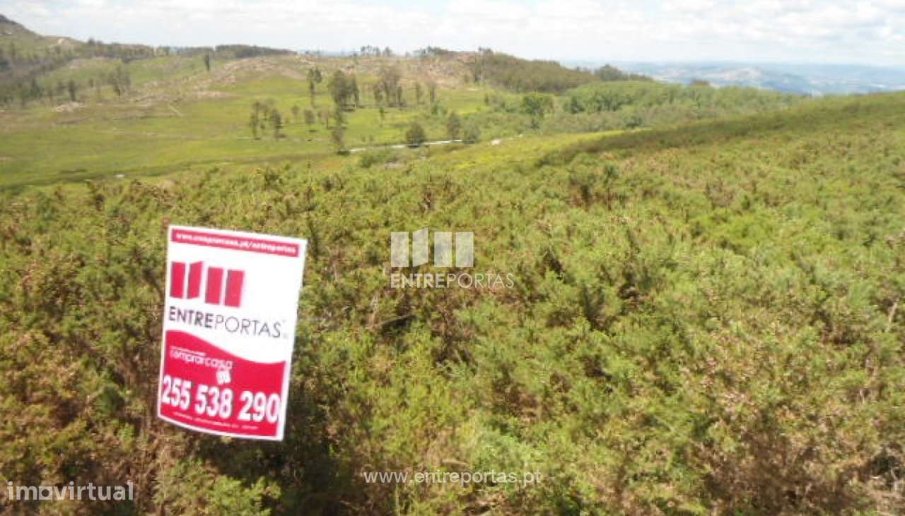 Venda Terreno, Sande, Marco de Canaveses - Grande imagem: 3/16