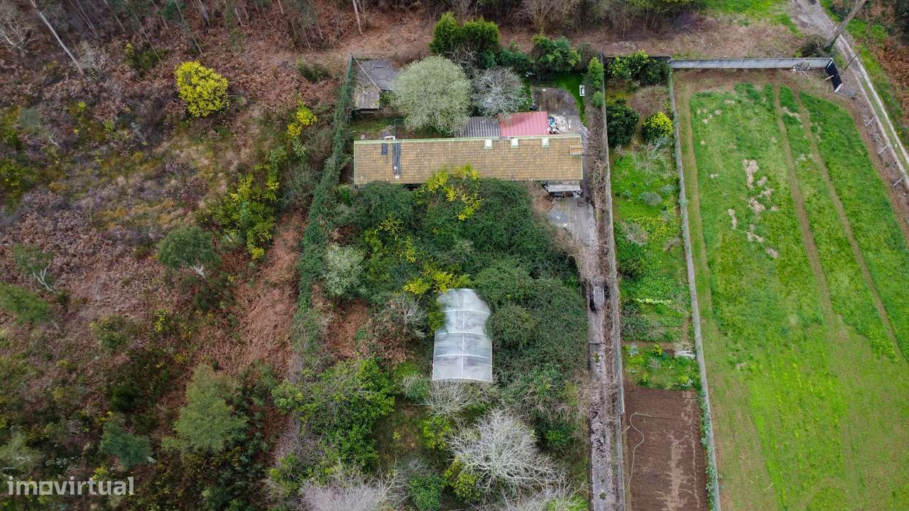 Quinta em Grijó com Piscina e Potencial para Alojamento Rural-7