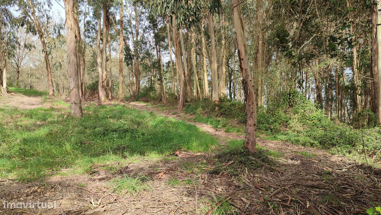 Terreno em Turiz, Vila Verde-7