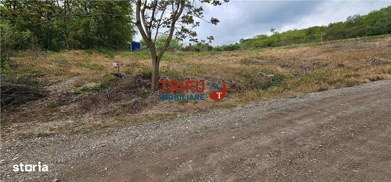 Teren Generos cu Panoramă Superbă în Valea Popii, Alba Iulia - Imagine principală: 2/3