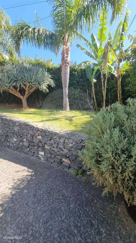 Moradia T3 para venda - Grande imagem: 3/34