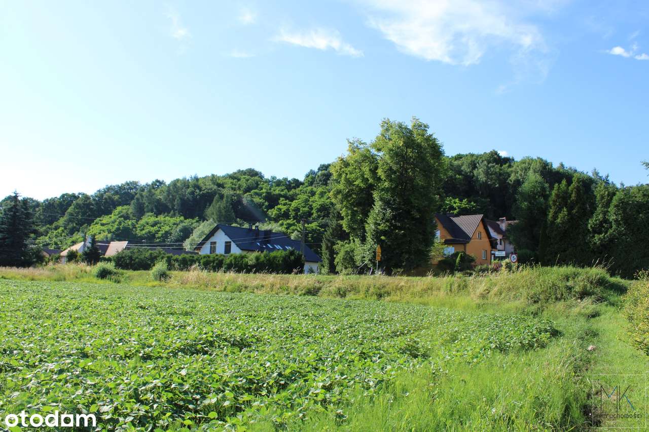 Winiary (gm. Gdów) działka budowlana z dużym potencjałem inwestycyjnym-6