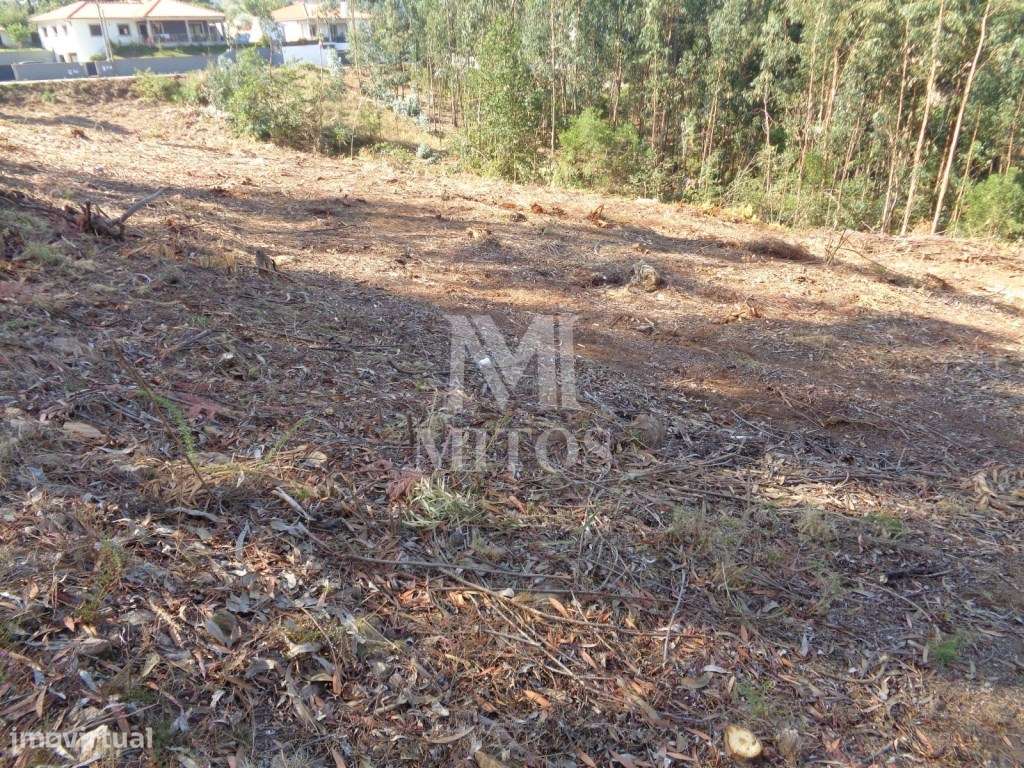 Terreno para venda - Ribeira, Ponte de Lima - Grande imagem: 2/7