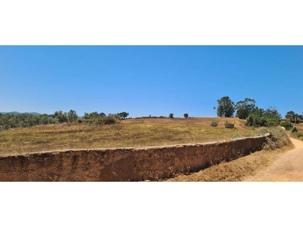 Monte Alentejano-6