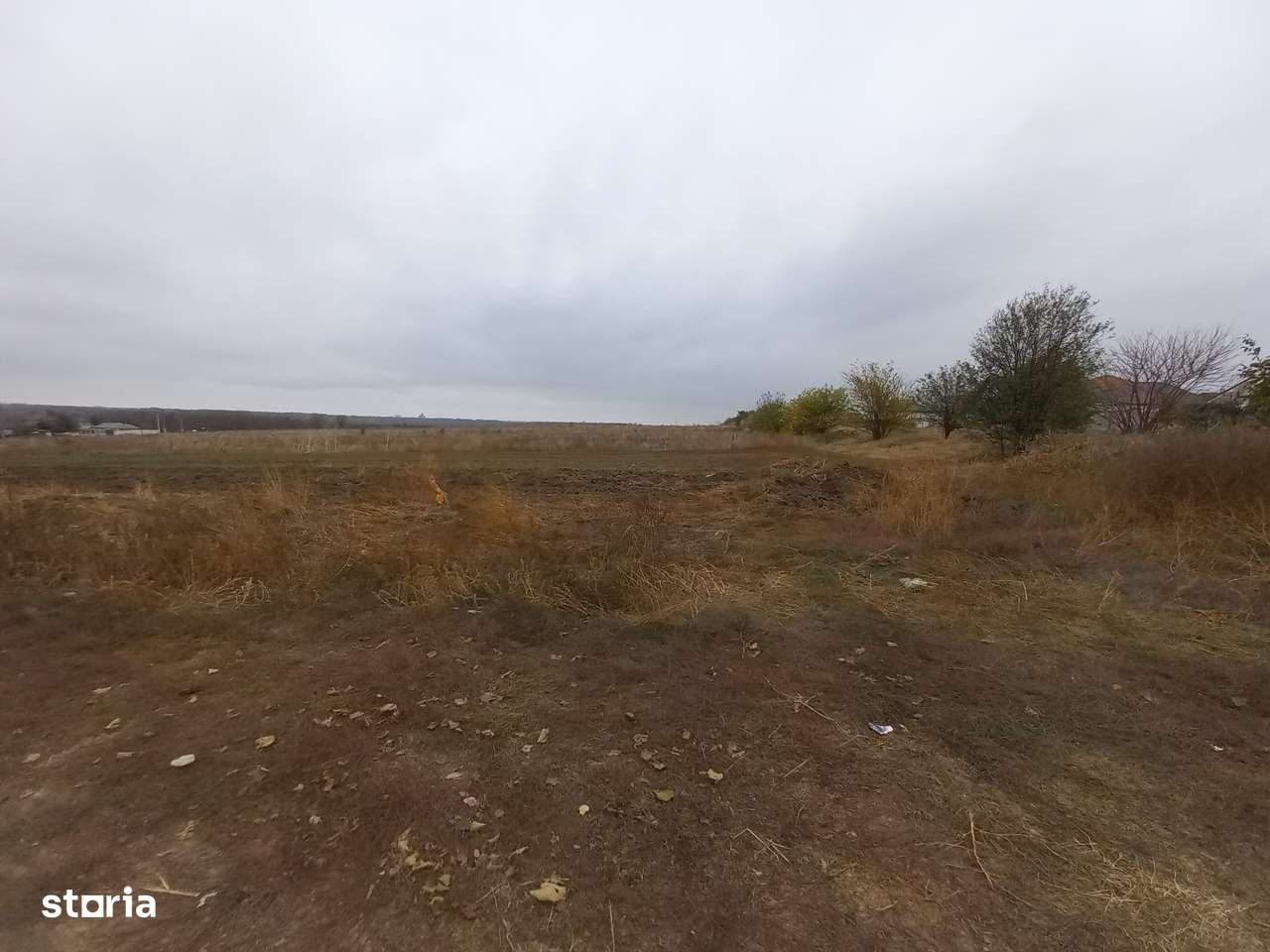 Teren de vanzare in Valu Lui Traian, Cartierul Nou - 403 mp - Imagine principală: 2/2