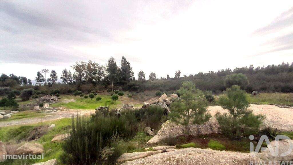 Terreno em Seixo da Beira de 16000,00 m2 - Grande imagem: 4/30