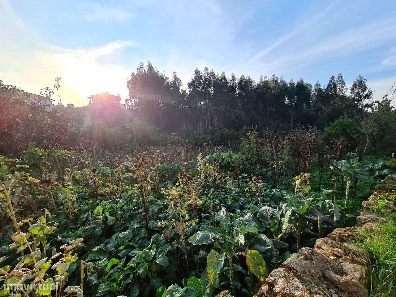 Terreno com Viabilidade de Construção de Moradias-6