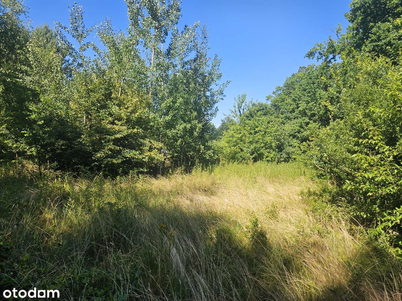 POLECAMY do sprzedaży działka budowlana w Chwałowicach-4