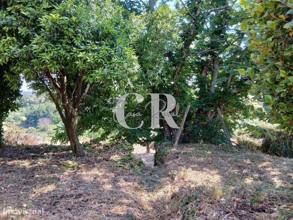 Propriedade com charme histórico, natureza e projeto aprovado em Figue-19