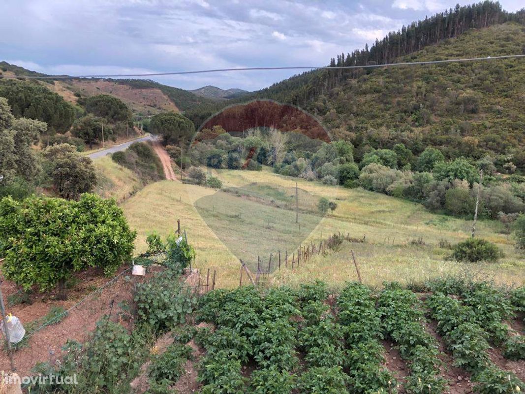 Terreno  para venda