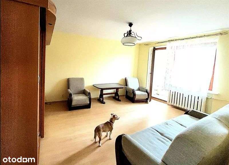 Sienkiewicza/1991/co miejskie/loggia/komórka - Pełny obrazek: 4/10