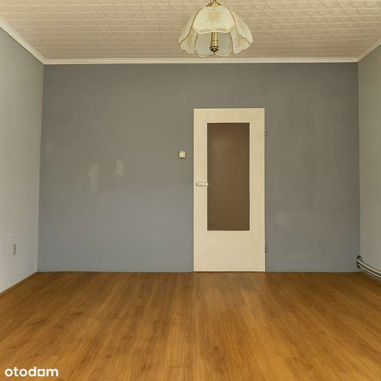 Mieszkanie w lesie - do remontu-4