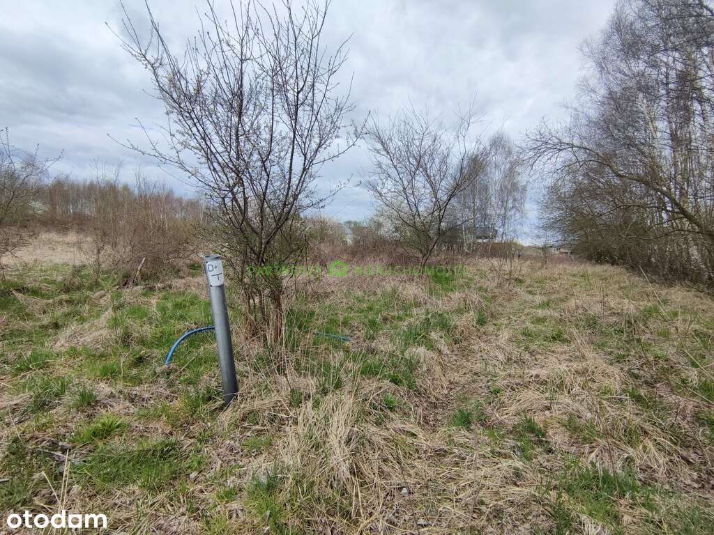 Atrakcyjna działka budowlana na Warszewie  z mpzp - Pełny obrazek: 2/3