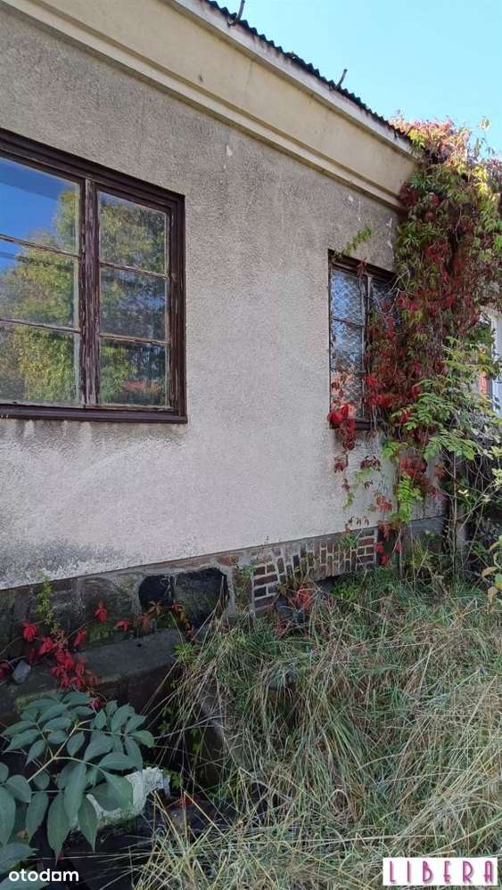 Tylko u nas! Gospodarstwo rolne, Łęgnowo - Pełny obrazek: 4/16