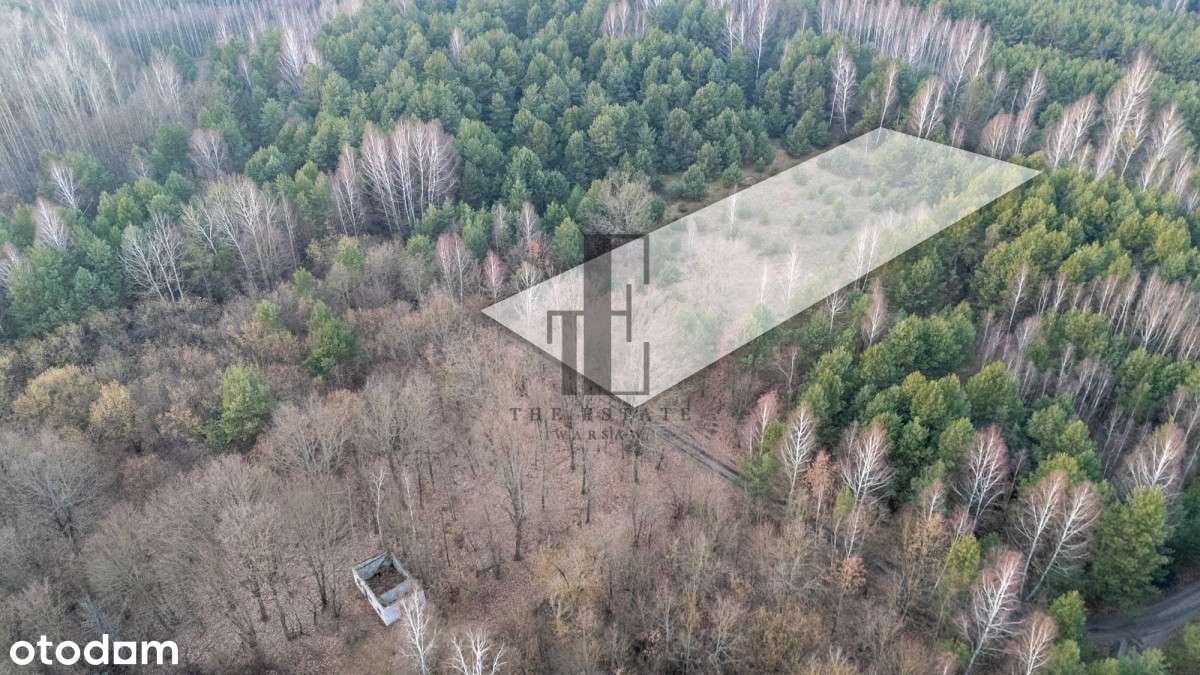 Działka w otulinie lasu | Henryków - Pełny obrazek: 5/5