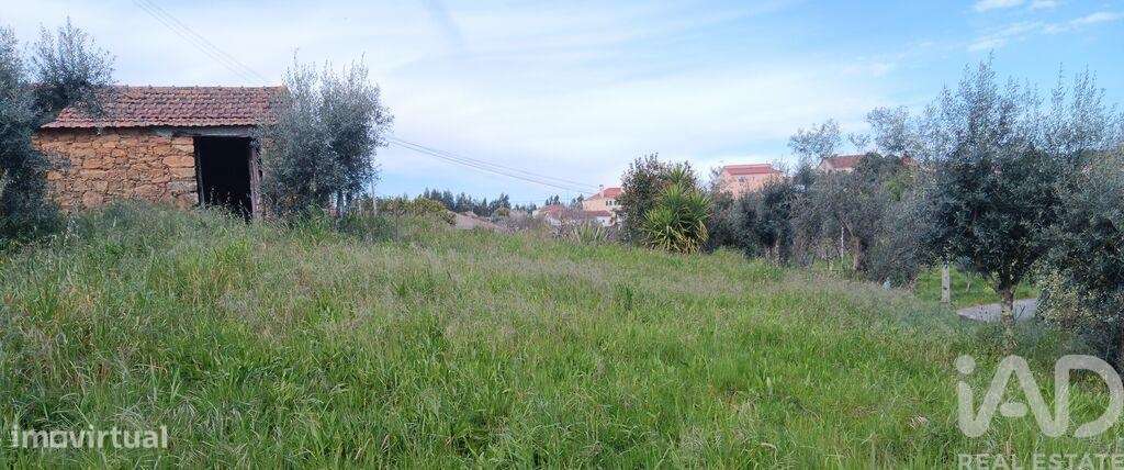 Terreno em Graça de 3250,00 m2 - Grande imagem: 4/27