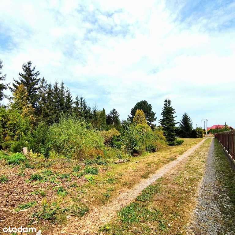 Wyjątkowy dom/grunt 24 ar/w otoczeniu zieleni.-8