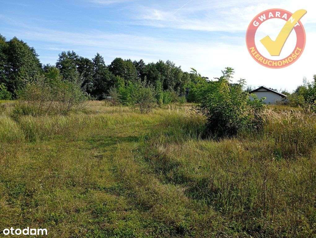 Dziaka 1000m2 na pograniczu Przysieka i S. Torunia - Pełny obrazek: 5/6