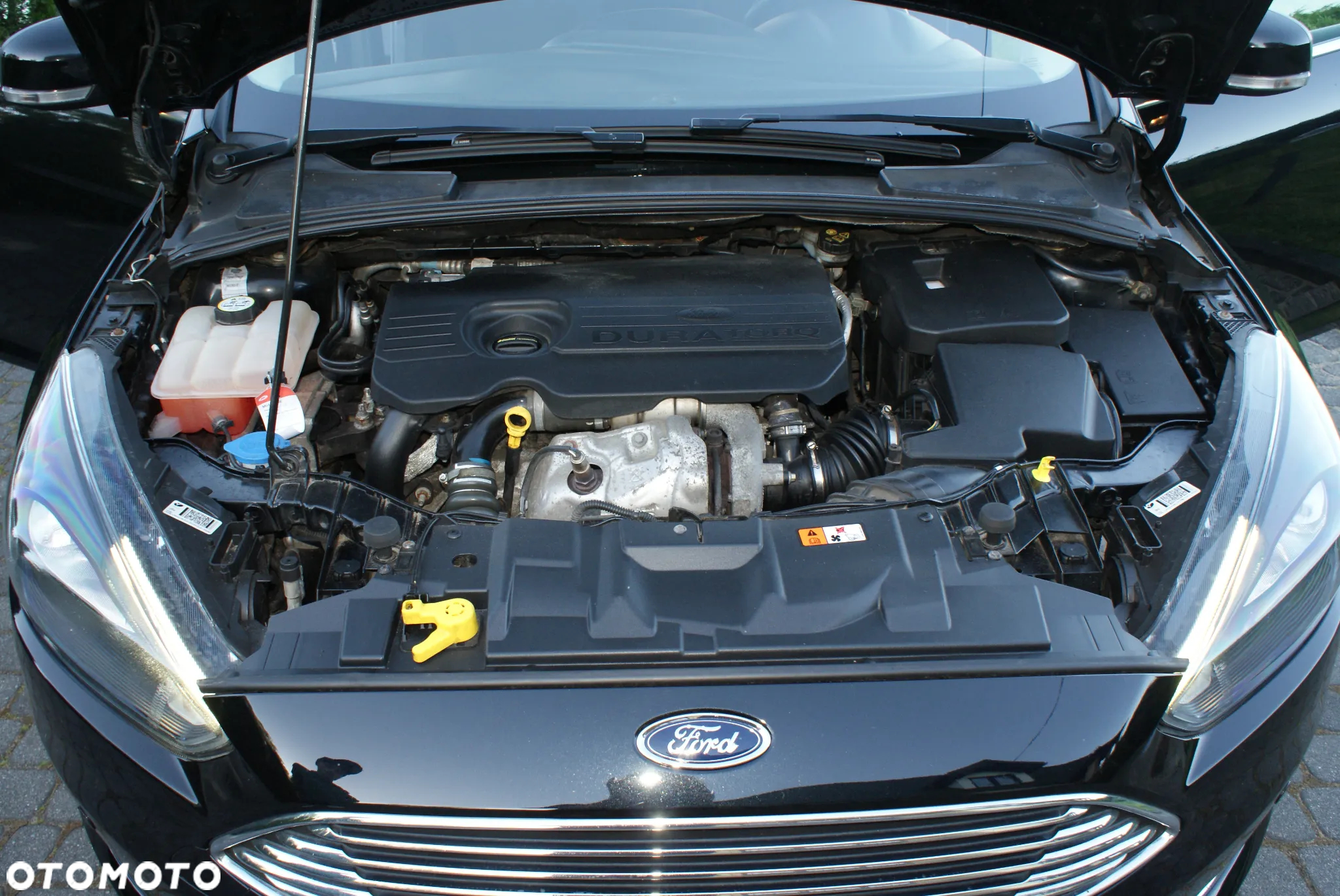Ford Focus 1.5 EcoBlue Start-Stopp-System ACTIVE DESIGN - 24