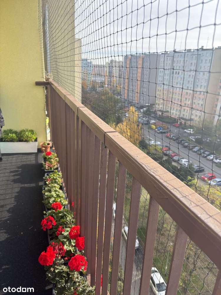 pełna własność-6