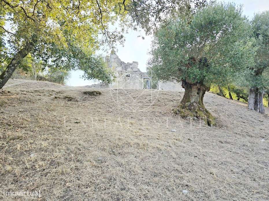 Terreno Misto  Venda em Torres Novas (São Pedro), Lapas e Ribeira Bran-17