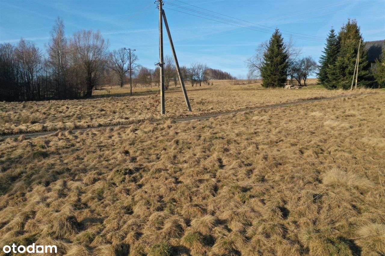 Bezpośrednio przy drodze asfaltowej * media - Pełny obrazek: 5/5