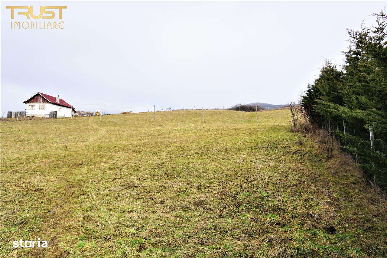 Teren intravilan Crainimat acces din DN 17 - Imagine principală: 4/13