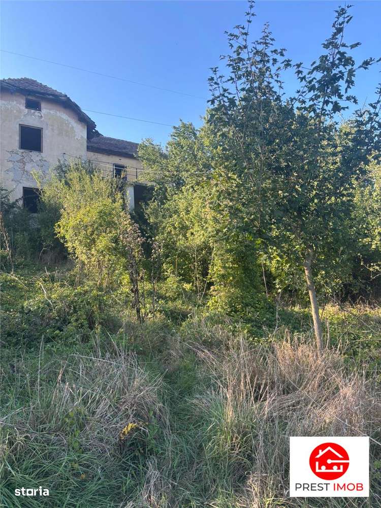 Conac in paragina - Imagine principală: 1/11